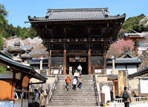 長谷寺・室生寺コース