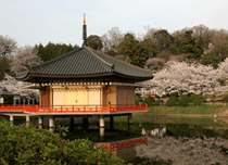 阿部文殊院・談山神社コース